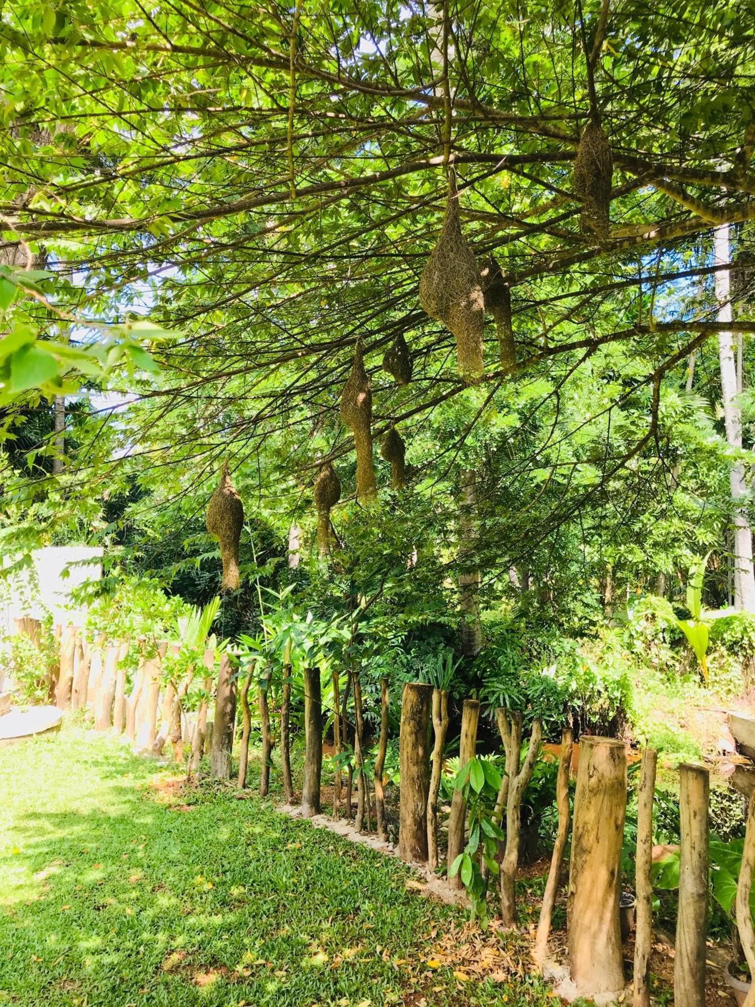 Ruwinsons Canal Garden อนุราธปุระ ภายนอก รูปภาพ
